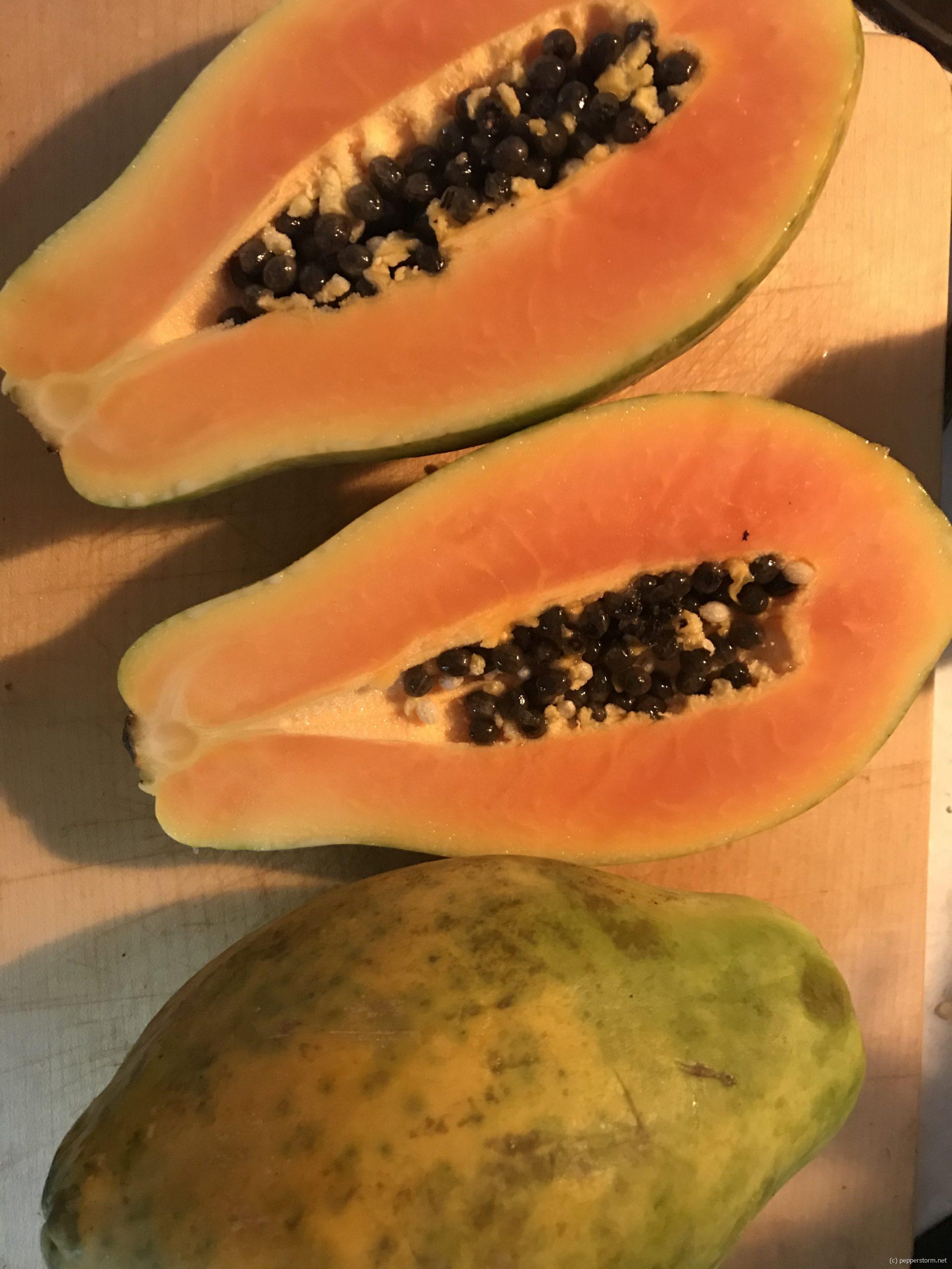Papaya tropisches Superfood Pepperstorm alles rund um Fitness
