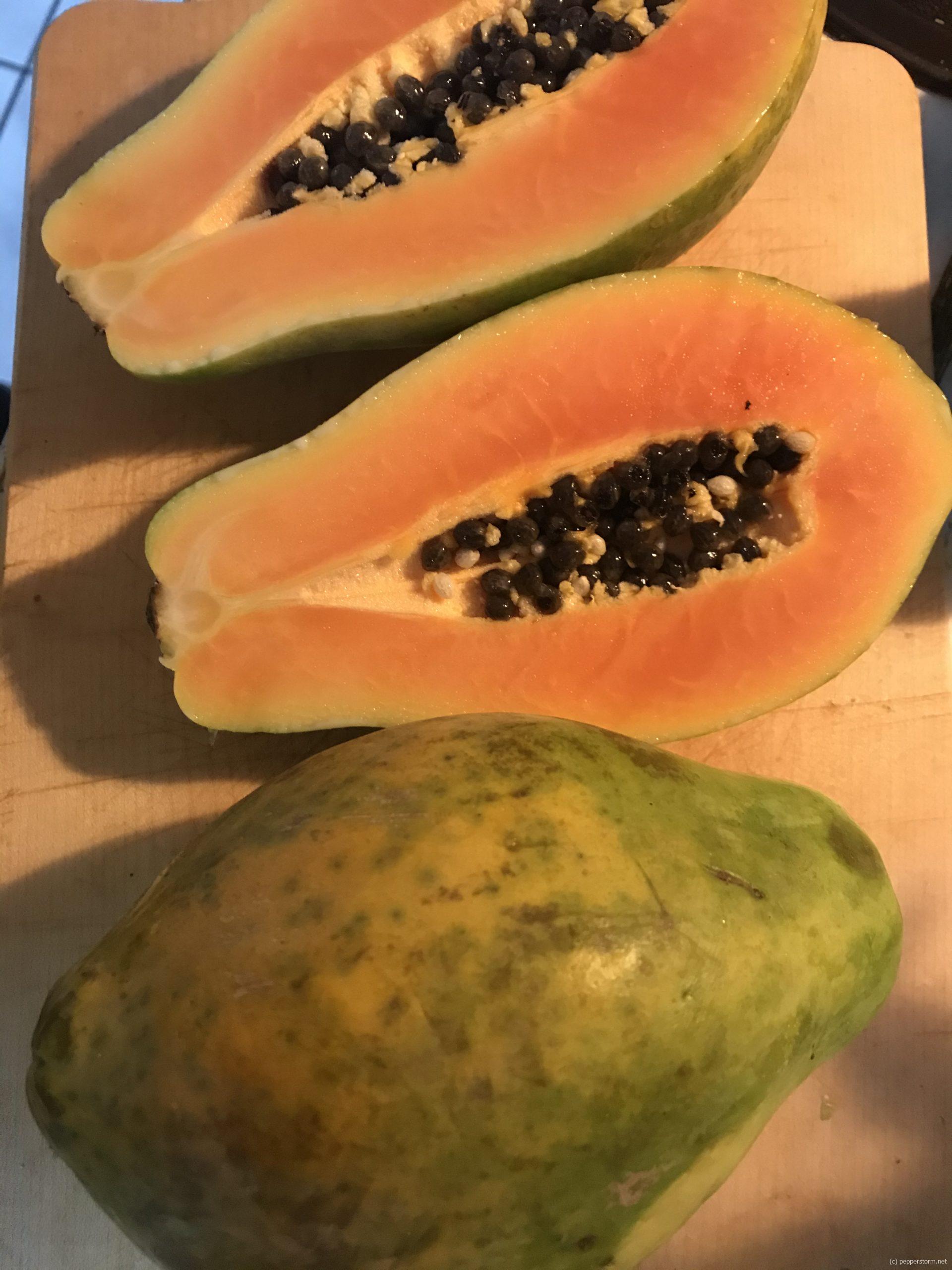 Papaya tropisches Superfood Pepperstorm alles rund um Fitness